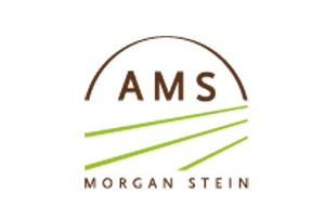 Morgan Stein